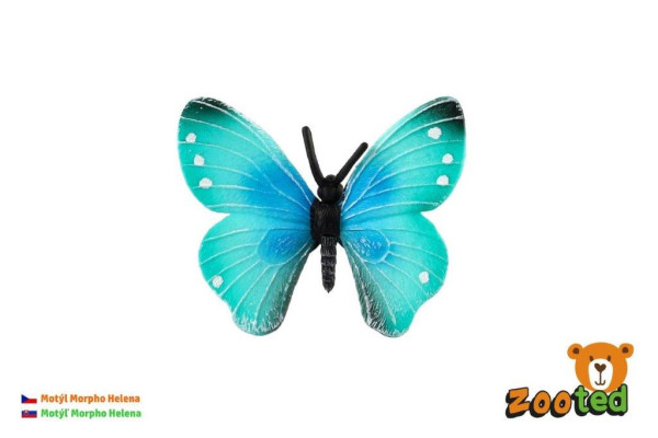 Zooted Motýl tropický Morpho Helena 7cm