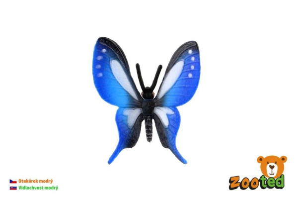 Zooted Motýl tropický Papilio otakárek modrý 5cm