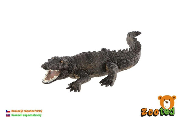 Zooted Krokodýl západoafrický 17cm