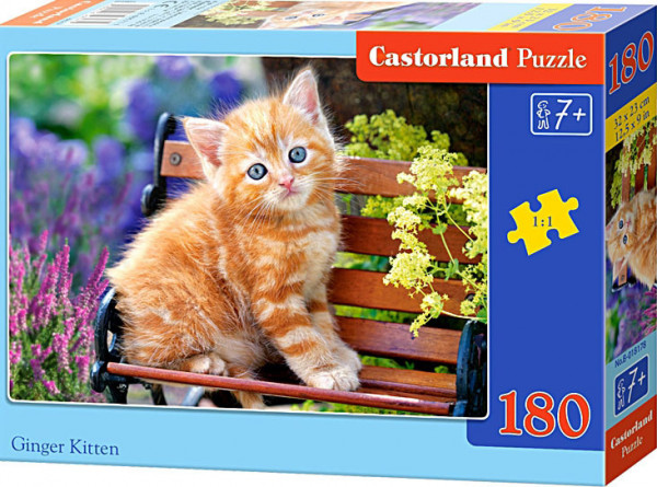 Castorland 18178 Puzzle 180 dílků - Kotě na lavičce