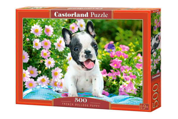 Castorland 53650 puzzle Francouzský buldoček 500 dílků