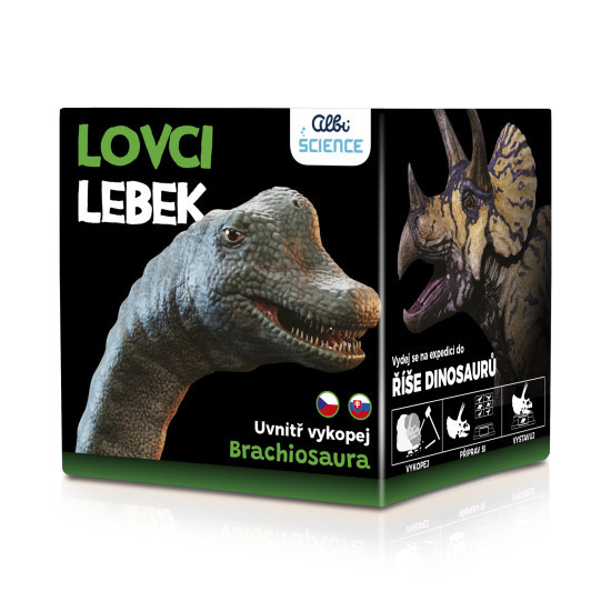 Albi Lovci lebek - Brachiosaurus AMU