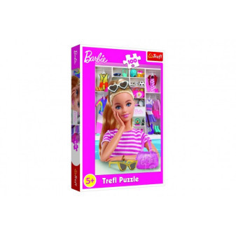 Trefl Puzzle Seznamte se s Barbie 100 dílků v krabici